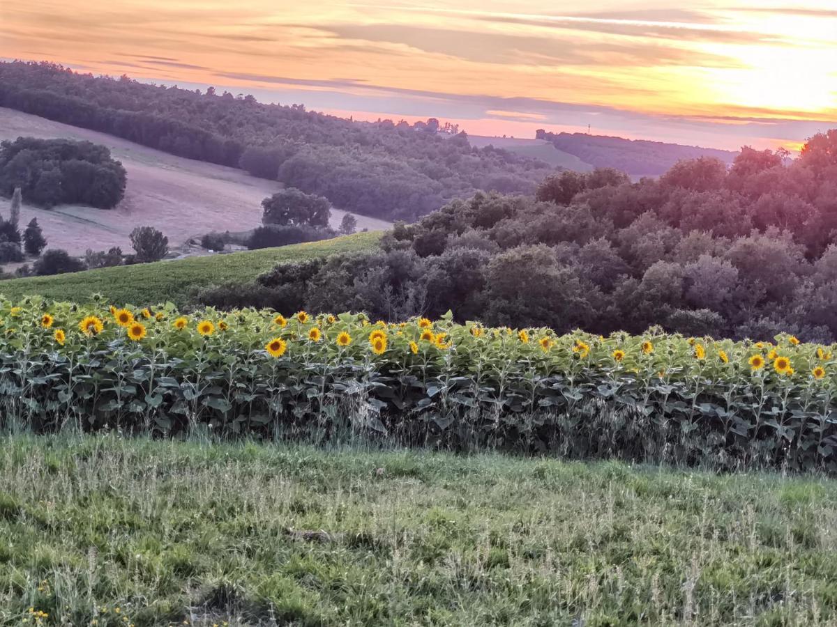 Les Hauts De Grazac, Chambres Et Tables D'Hotes Grazac  Buitenkant foto