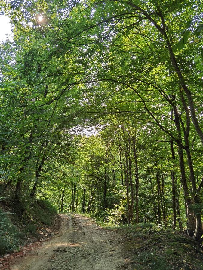 Les Hauts De Grazac, Chambres Et Tables D'Hotes Grazac  Buitenkant foto